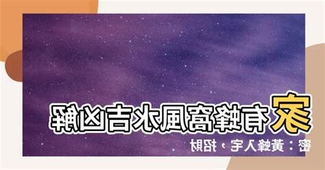 家有蜂窩 風水